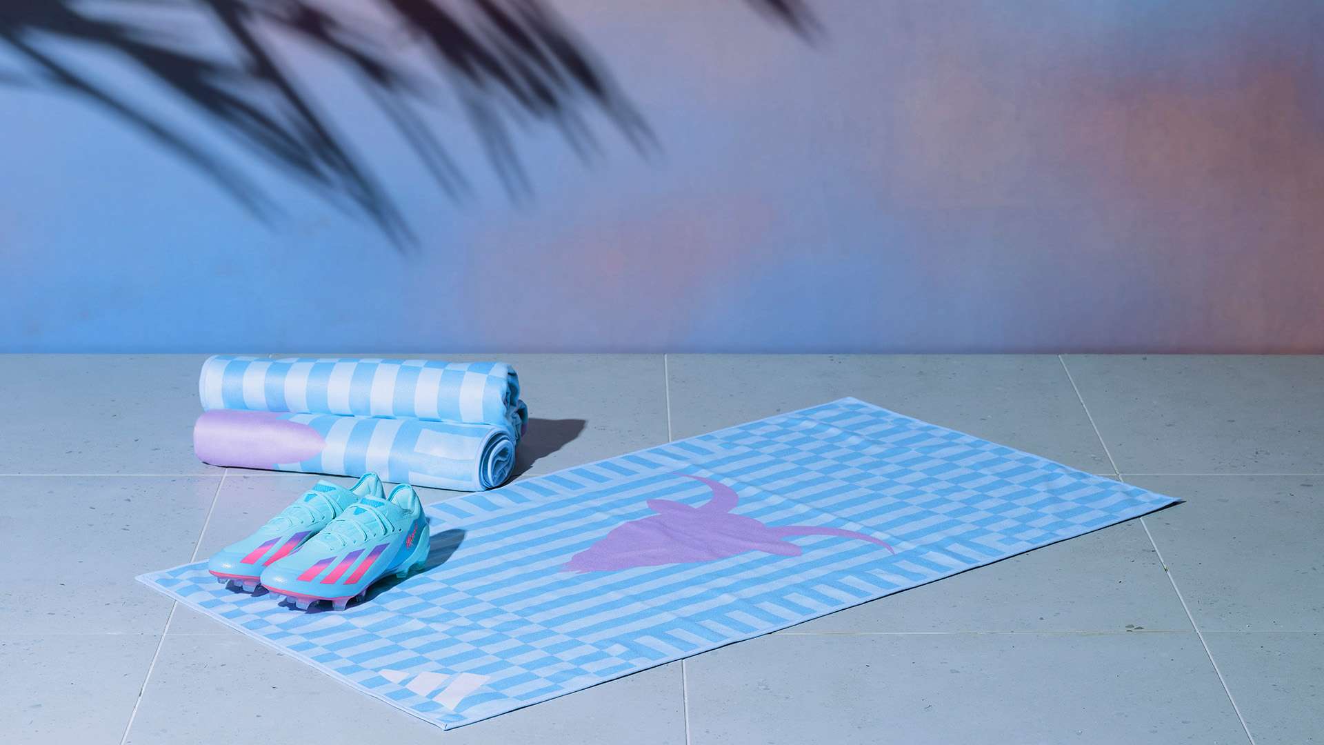 为两国足球 为两国足球